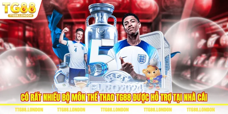 Có rất nhiều bộ môn thể thao TG88 được hỗ trợ tại nhà cái